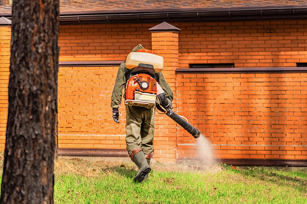 Trusted Bed Bug Control service in Iroquois Point, HI - Nex Pest Control